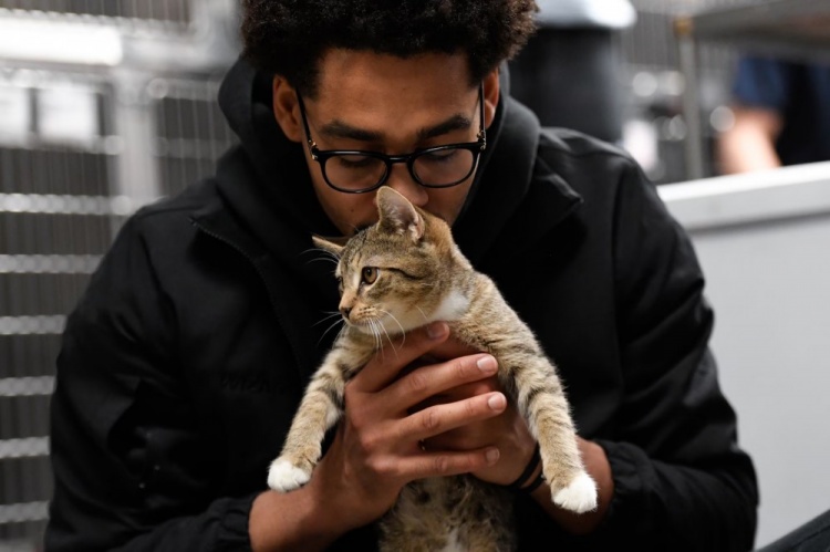 普尔：NBA里养猫的人很多 大菠萝网站在线观看有一个秘密的圈子常私下交流